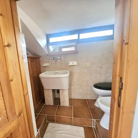 Rosa Bestvacationever Torre delle Stelle